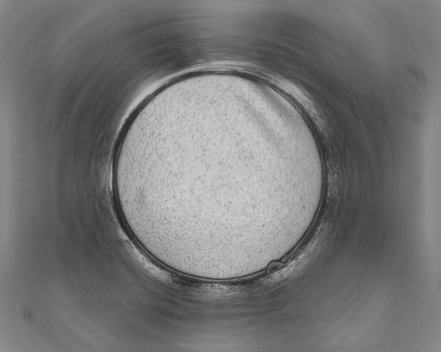 X0000110961420200907101318