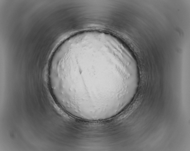 X0000110961421200907101318