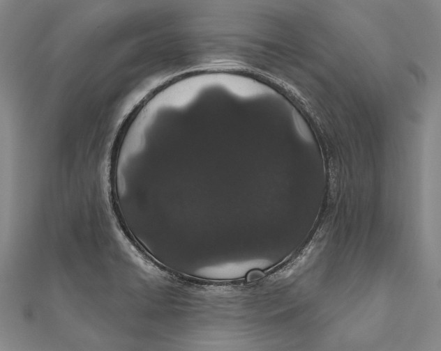 X0000110961422200907101318