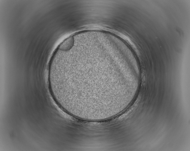 X0000110961424200907101318