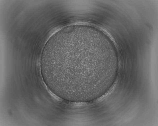 X0000110961425200907101318