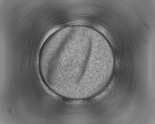 X0000110961426200907101318