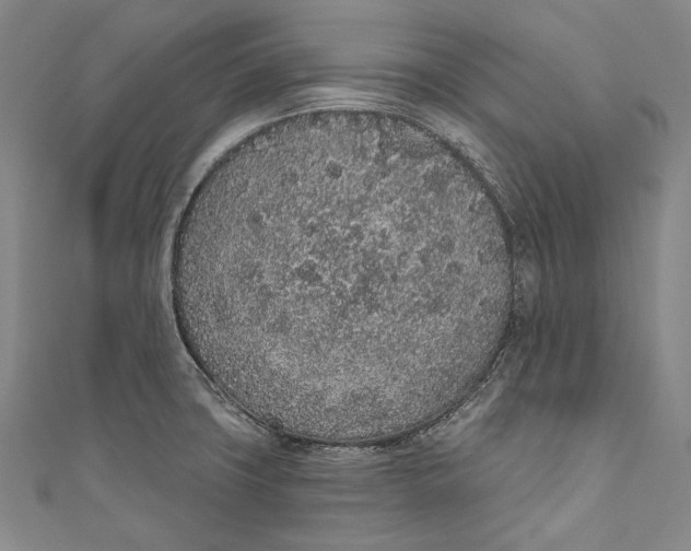 X0000110961427200907101318