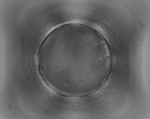 X0000110961428200907101318