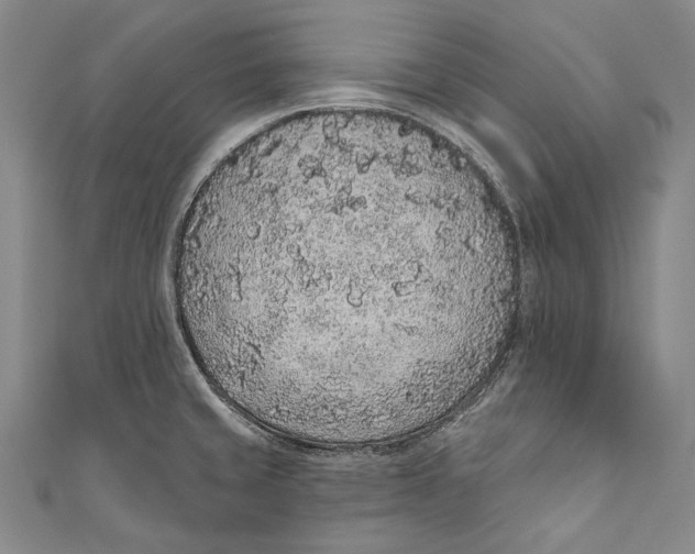 X0000110961429200907101318