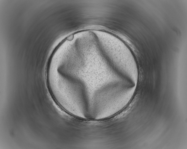 X0000110961430200907101318