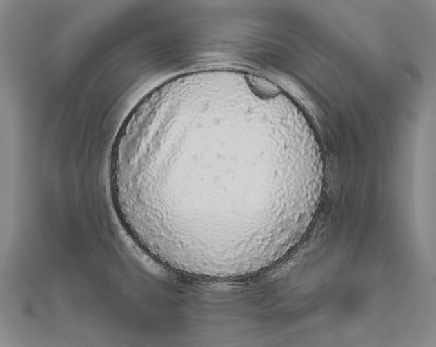 X0000110961431200907101318