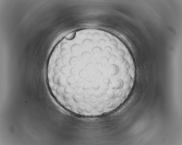 X0000110961432200907101318