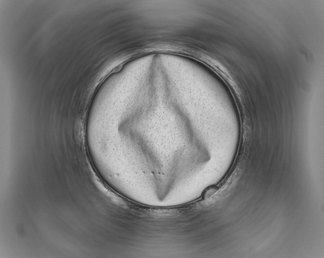 X0000110961433200907101318