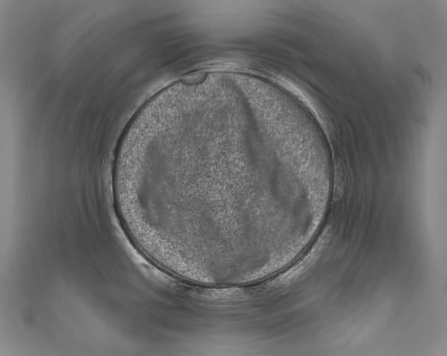 X0000110961434200907101318