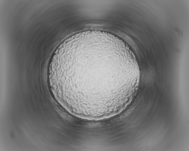 X0000110961435200907101318