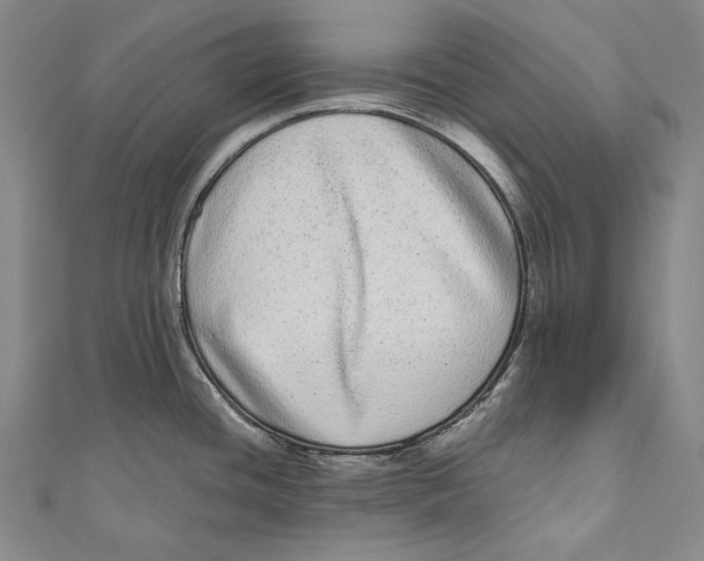 X0000110961436200907101318