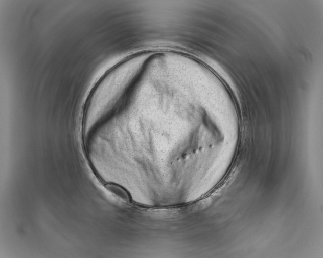 X0000110961437200907101318