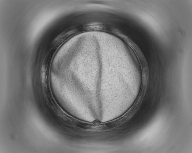 X0000110961438200907101318