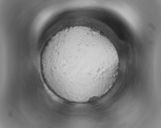 X0000110961439200907101318