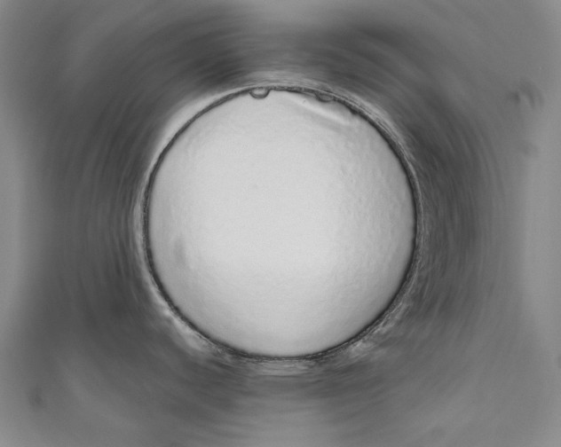 X0000110961440200907101318