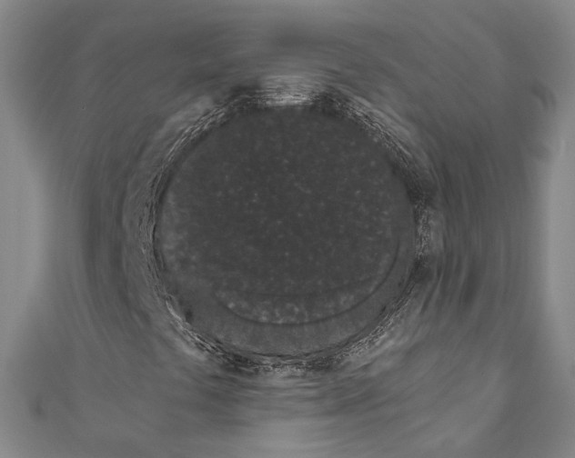 X0000110961441200907101318