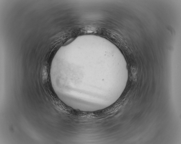 X0000110961442200907101318