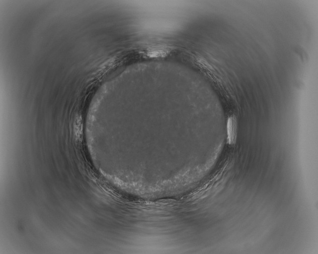 X0000110961443200907101318