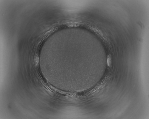 X0000110961444200907101318