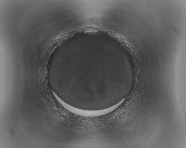 X0000110961445200907101318