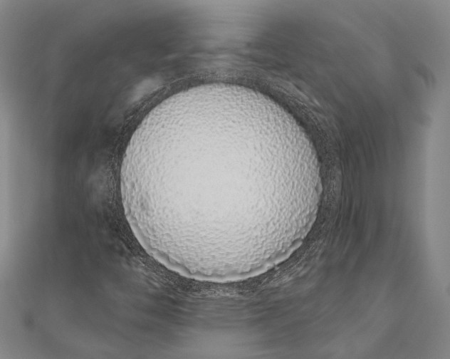 X0000110961446200907101318