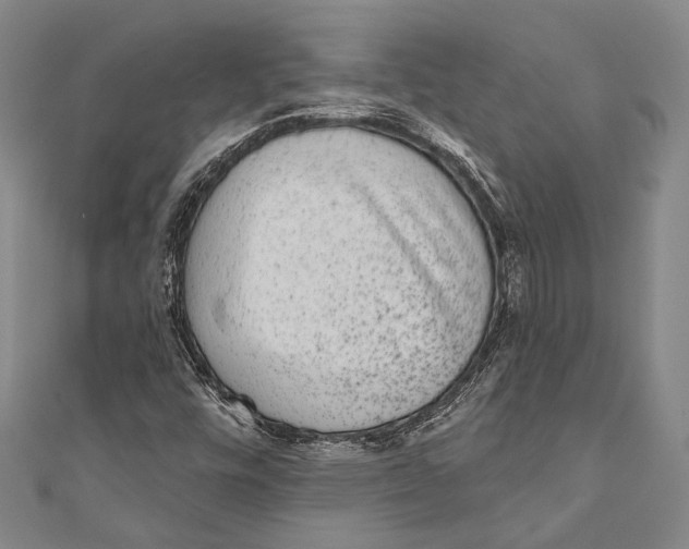 X0000110961448200907101318