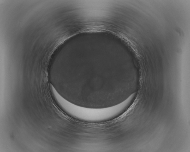 X0000110961449200907101318