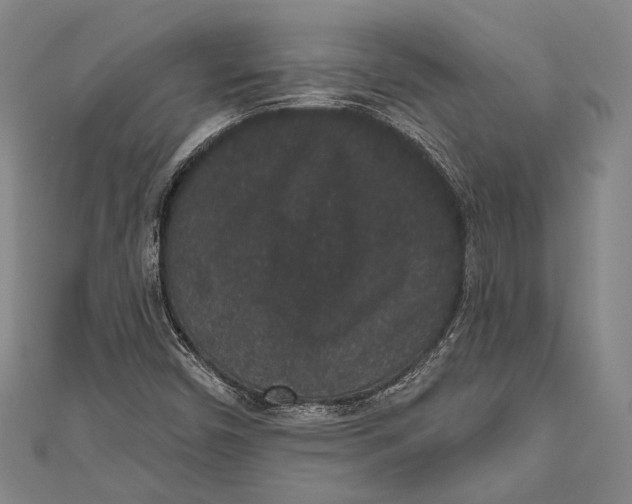 X0000110961450200907101318