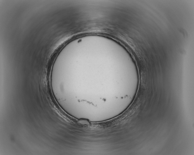 X0000110961452200907101318