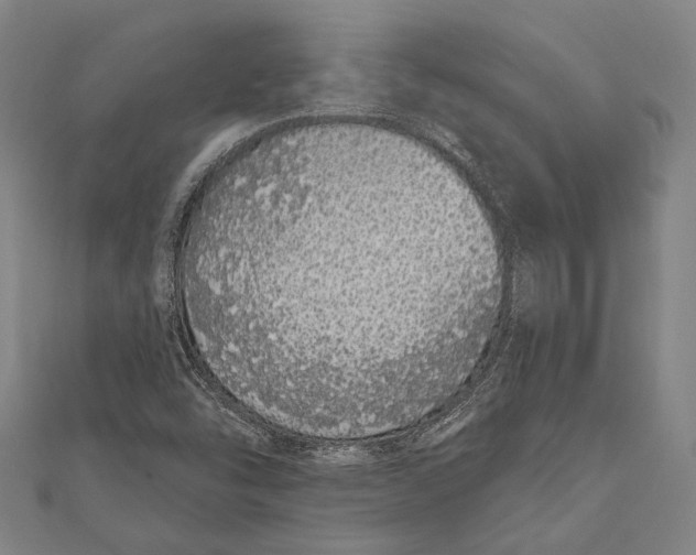 X0000110961454200907101318