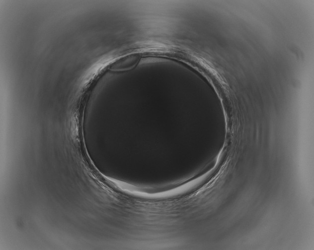 X0000110961455200907101318