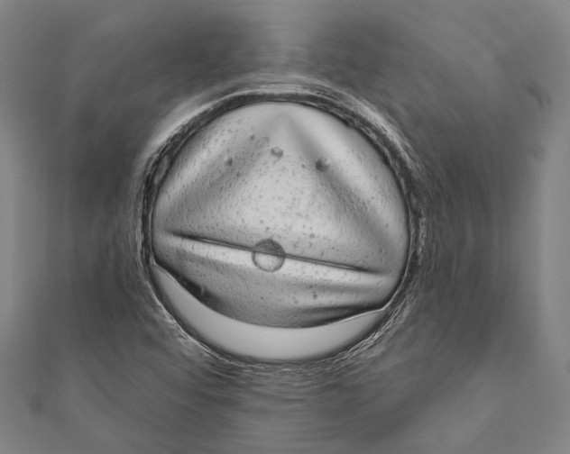 X0000110961456200907101318