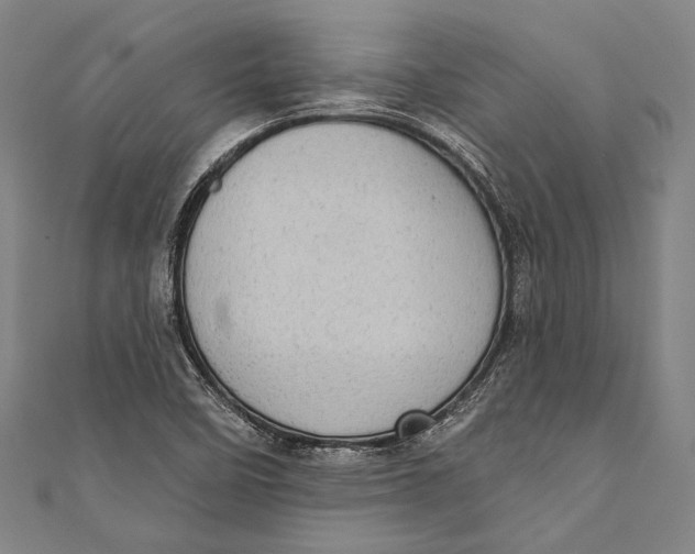 X0000110961458200907101317