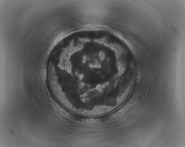 X0000110961459200907101317