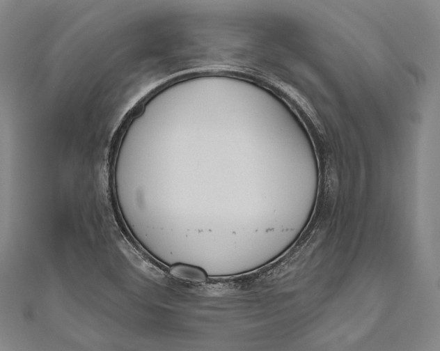 X0000110961460200907101317