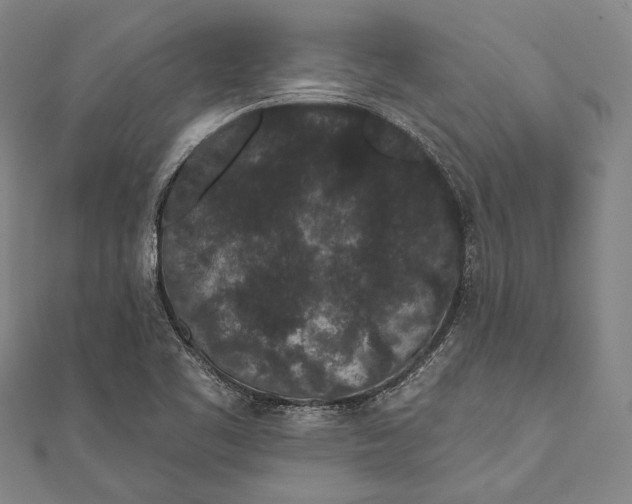 X0000110961461200907101317