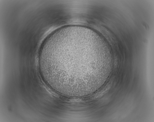 X0000110961462200907101317