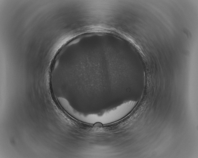 X0000110961463200907101317