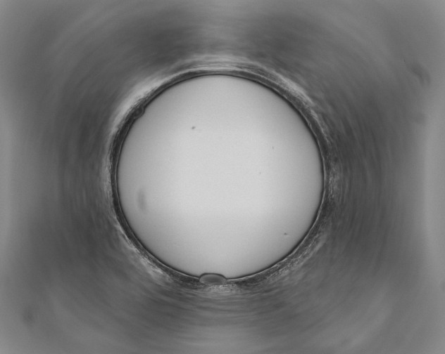 X0000110961464200907101317