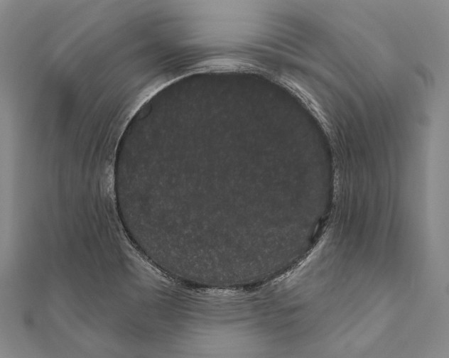 X0000110961465200907101317