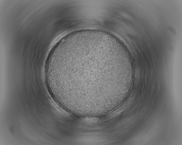 X0000110961466200907101317