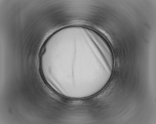 X0000110961467200907101317