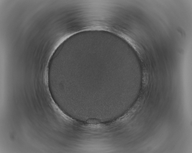 X0000110961468200907101317