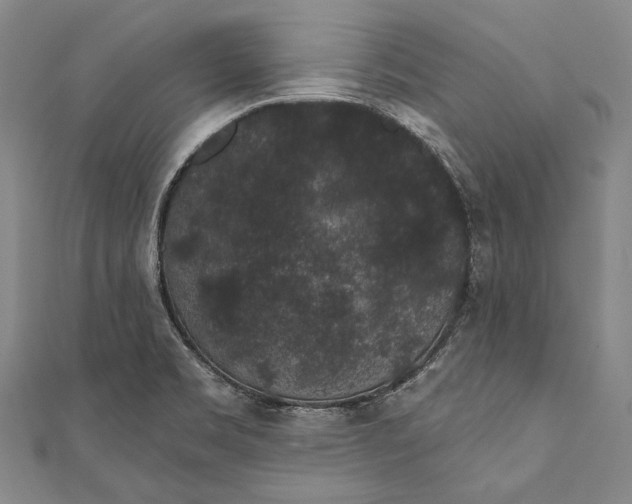 X0000110961469200907101317