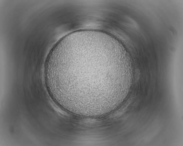 X0000110961470200907101317