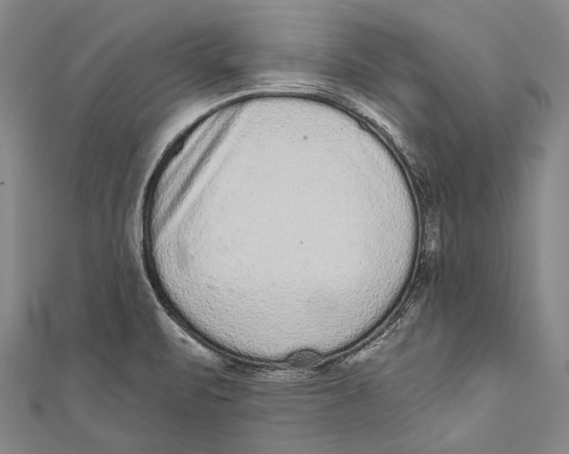 X0000110961471200907101317