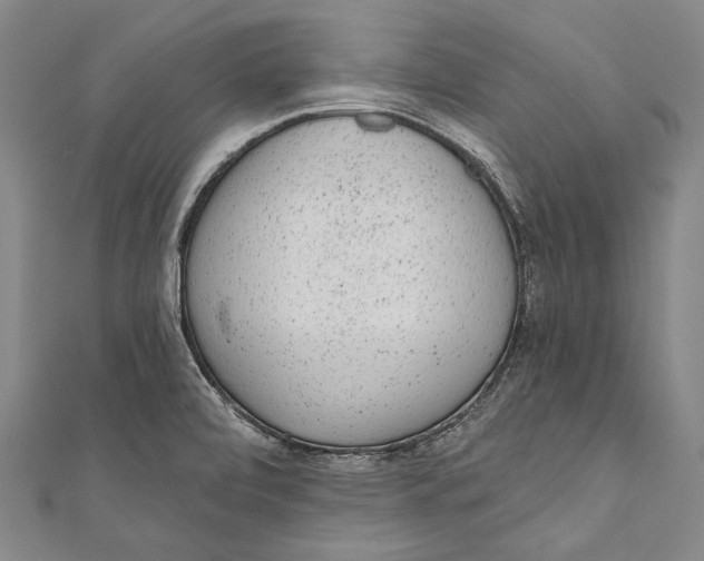 X0000110961472200907101317