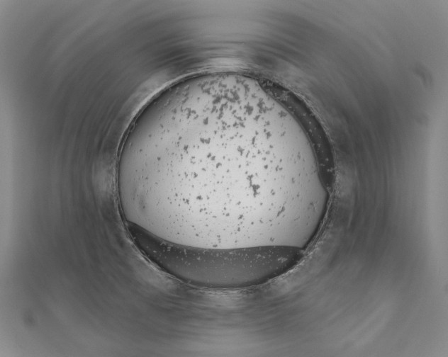 X0000110961473200907101317