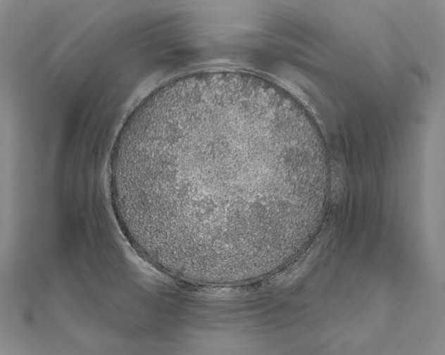 X0000110961474200907101317